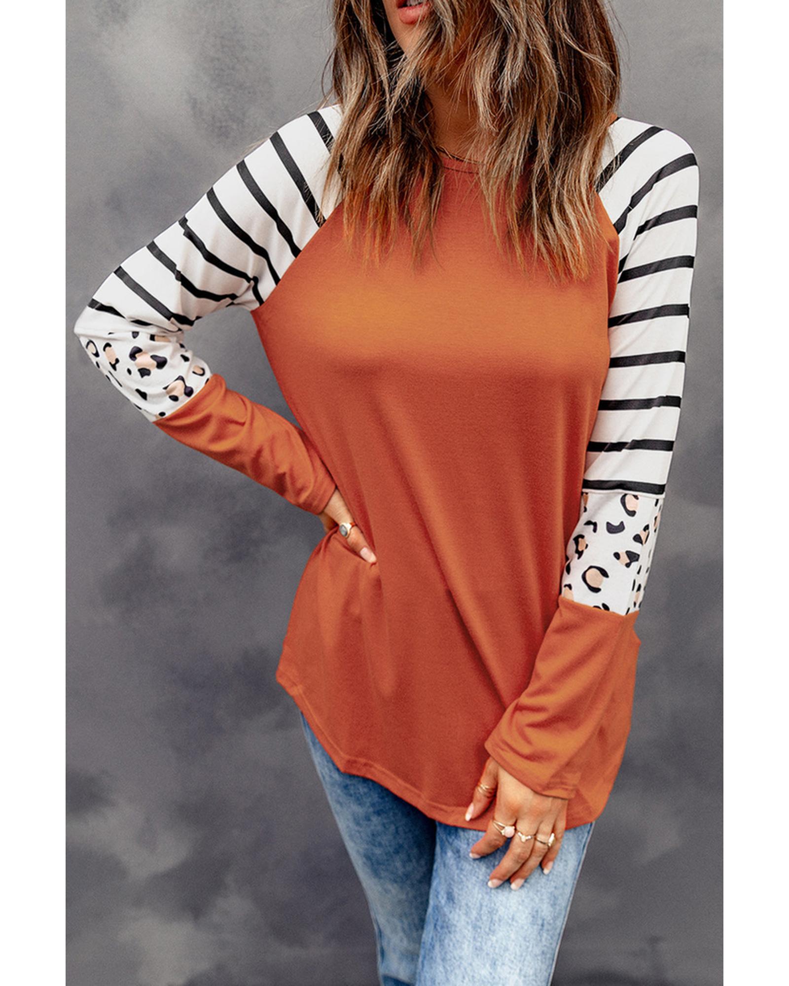 Azura Exchange Animal Print Long Sleeve Top with Striped Colorblock - S