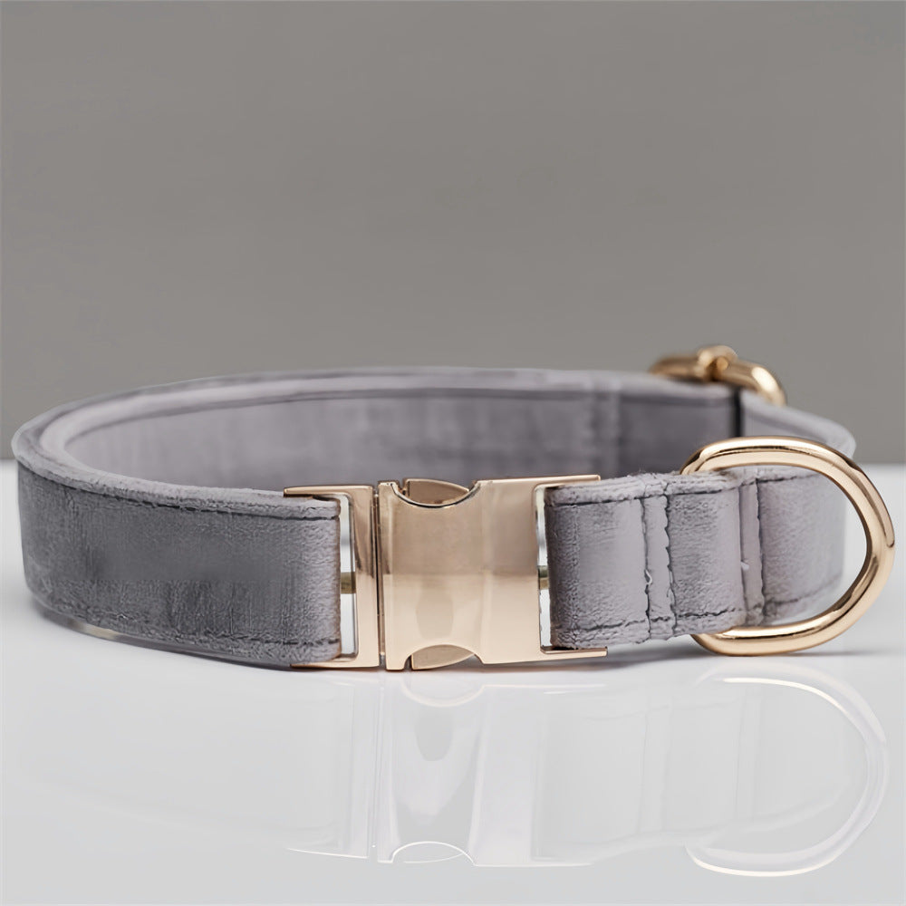 Grey Durable Dog Collar with Metal Buckle - Adjustable Nylon Pet Collar for Small to Large Dogs Size XS