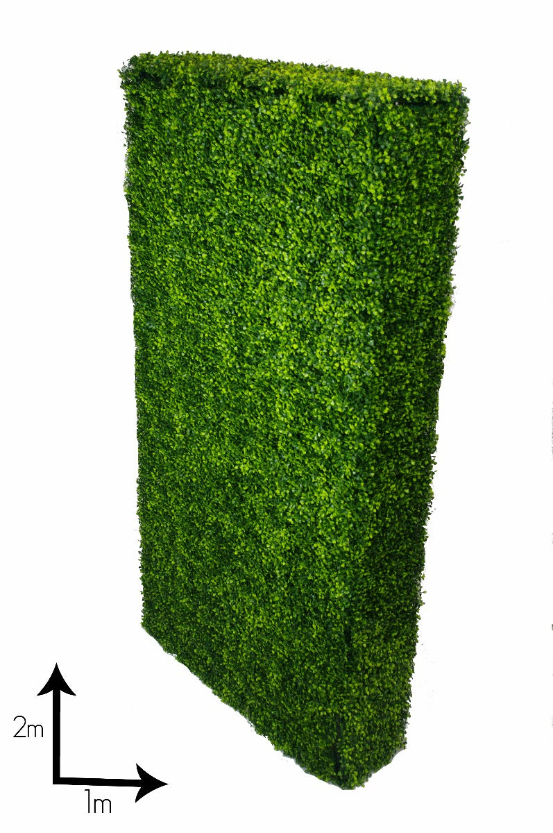 Large Portable Boxwood Hedges UV Stabilised 2m By 1m