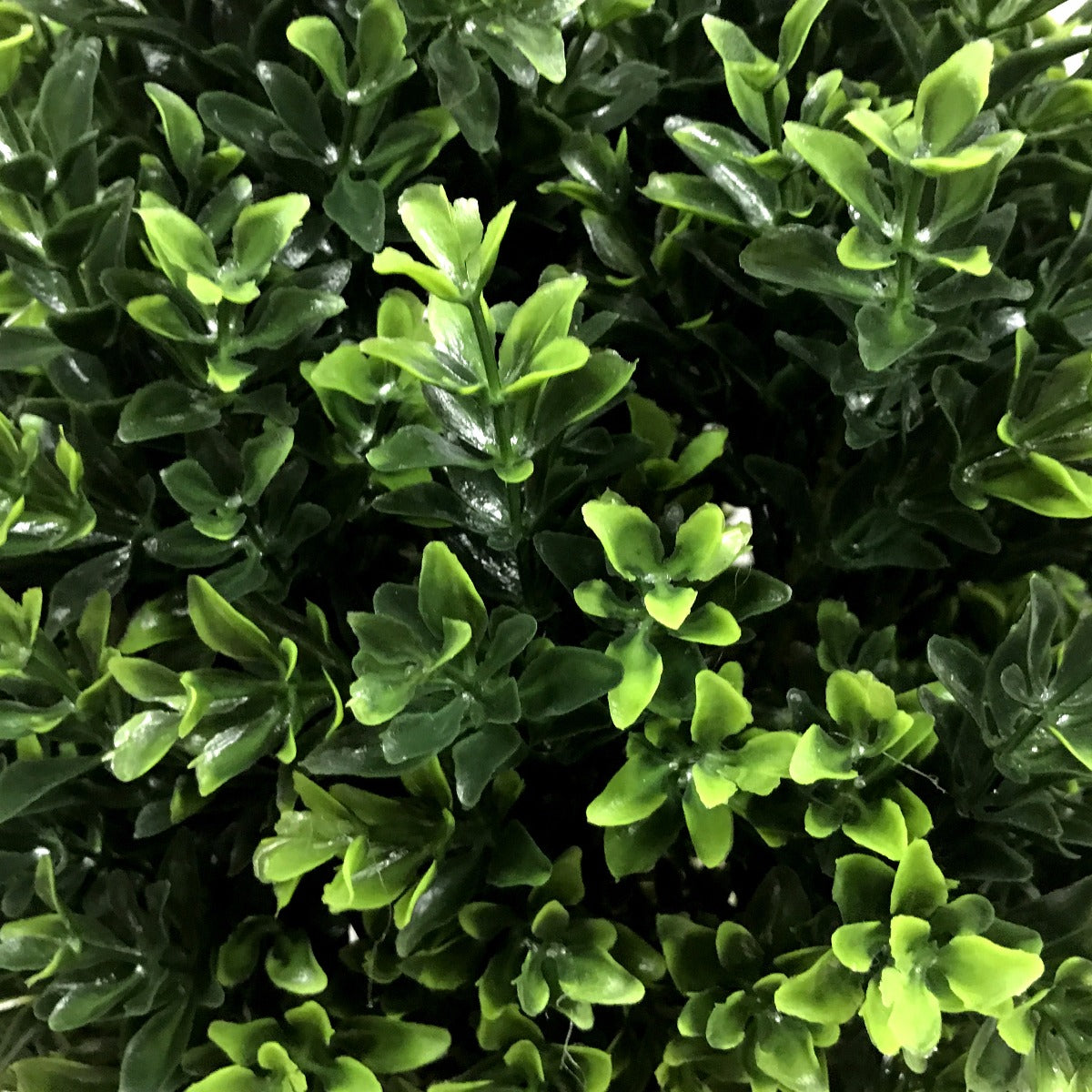 UV Resistant Artificial Topiary Shrub (Hedyotis) 50cm Mixed Green