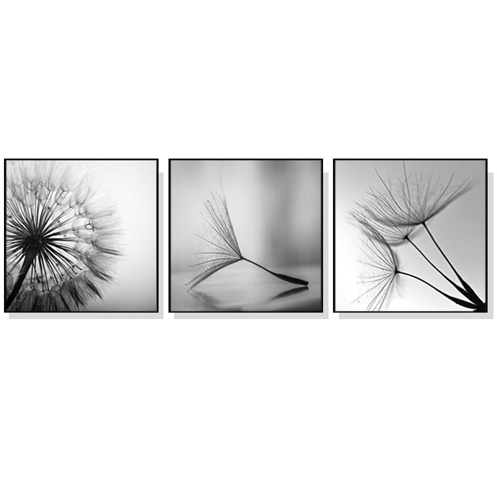 60cmx60cm Botanical dandelions 3 Sets Black Frame Canvas Wall Art