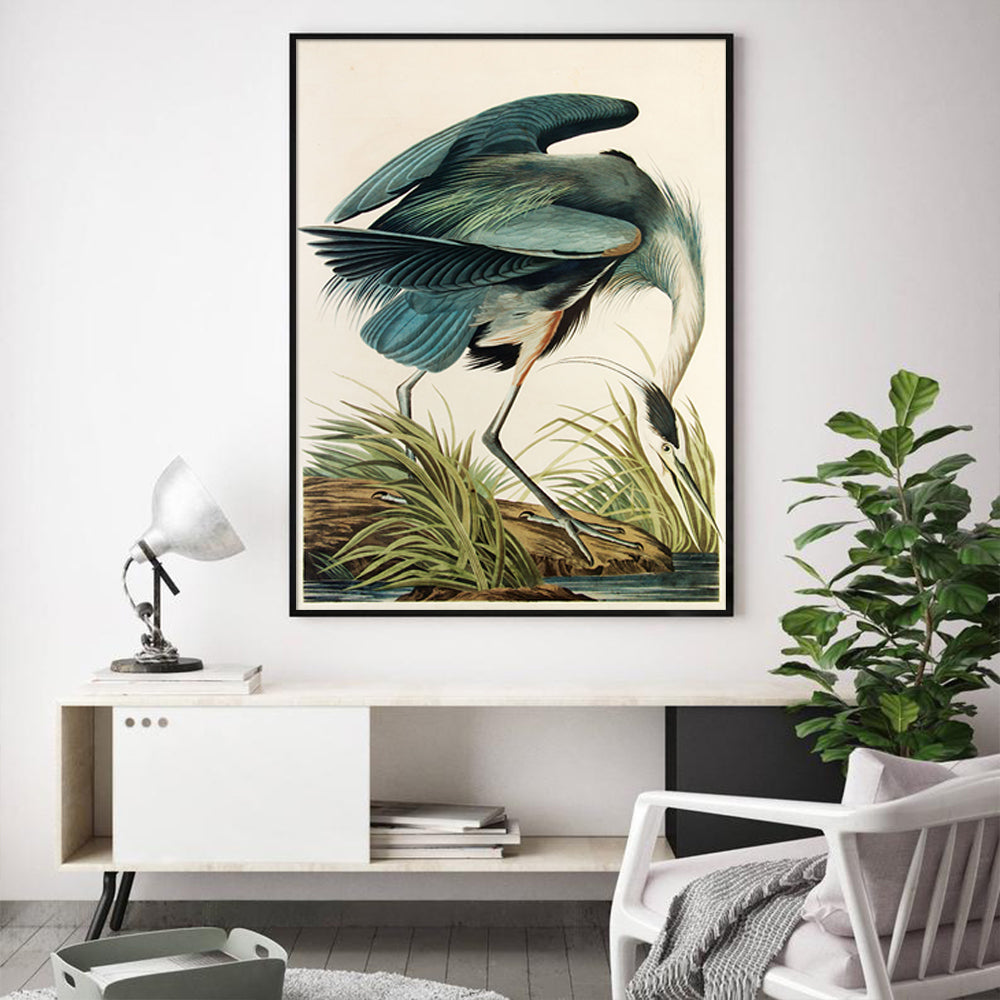 50cmx70cm Great Blue Heron By John James Audubon Black Frame Canvas Wall Art