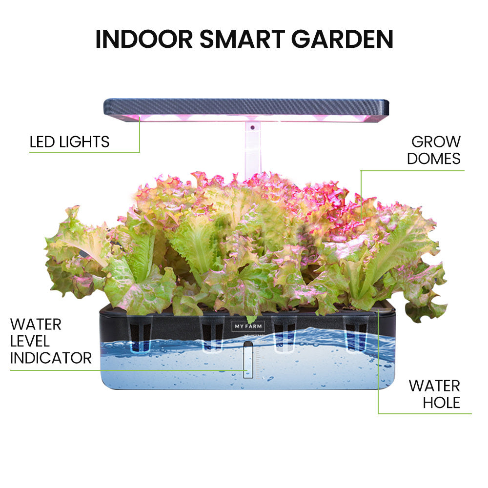 PLANTCRAFT 12 Pod Indoor Hydroponic Growing System, with Water Level Window & Pump, Black