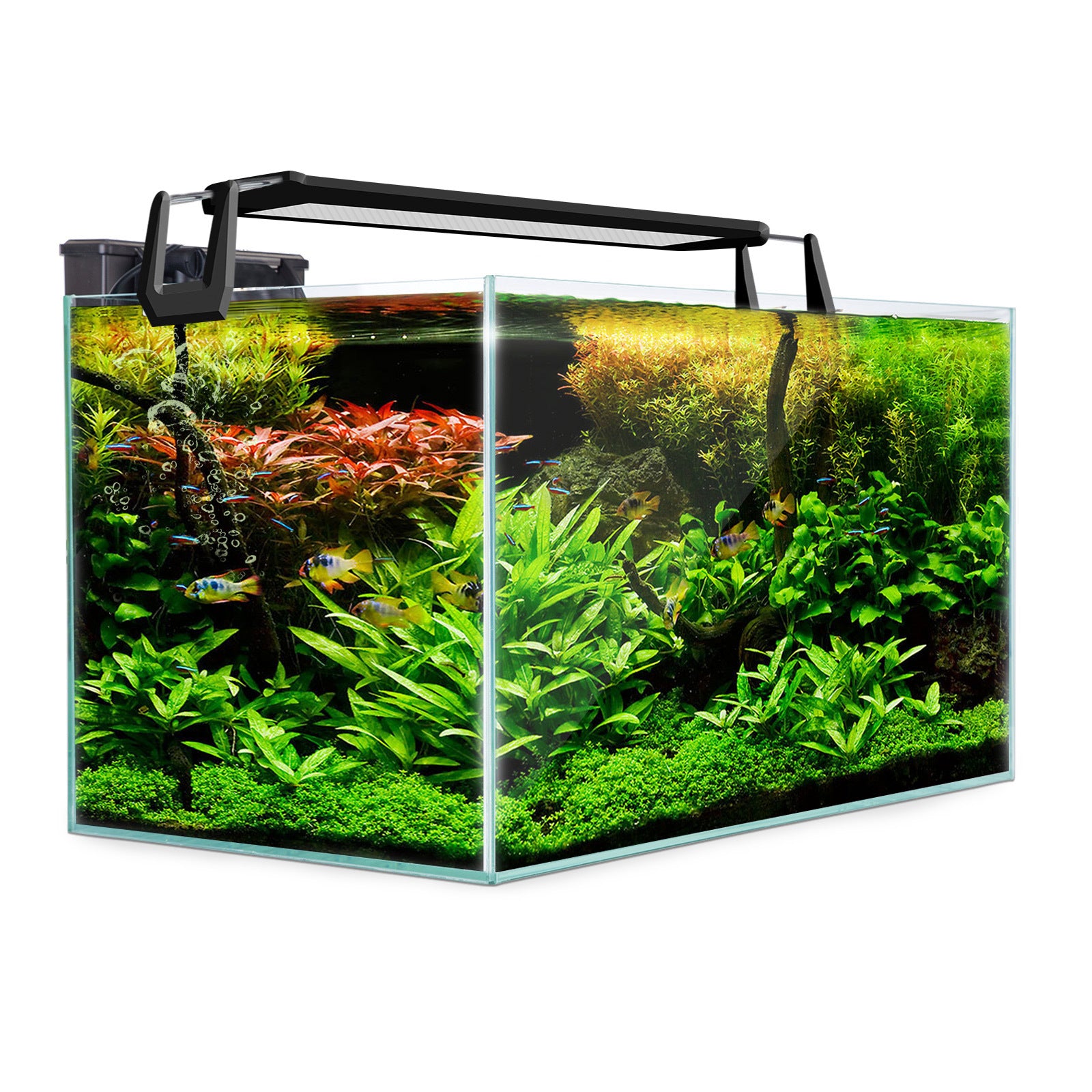 Dynamic Power Aquarium Fish Tank 70L Starfire Glass