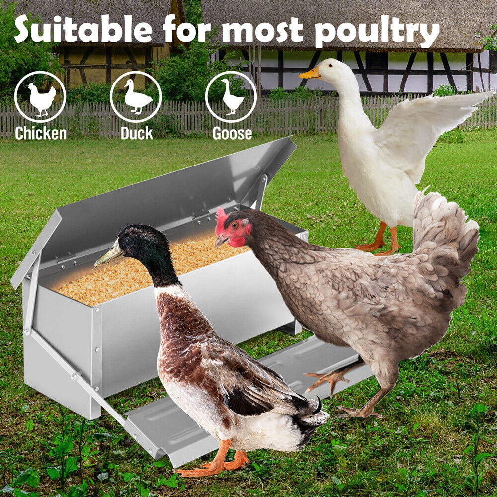 10KG 12.5L Garden Farm Automatic Food Storage Box Stand Chicken Feeder Poultry