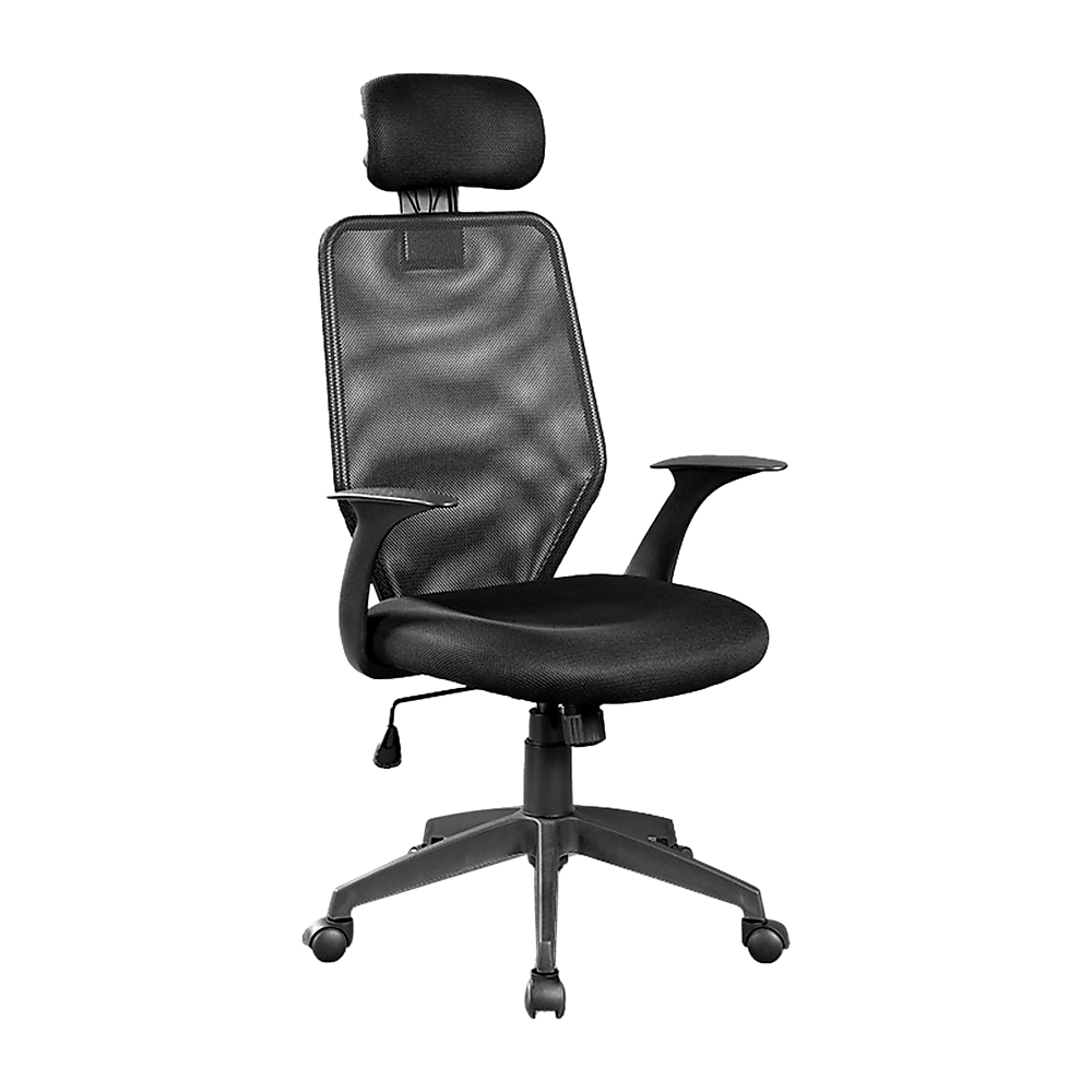 Ergonomic Mesh Office Chair