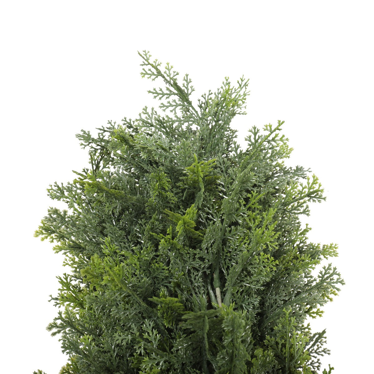 UV Resistant Cypress Pine Tree 1.8m