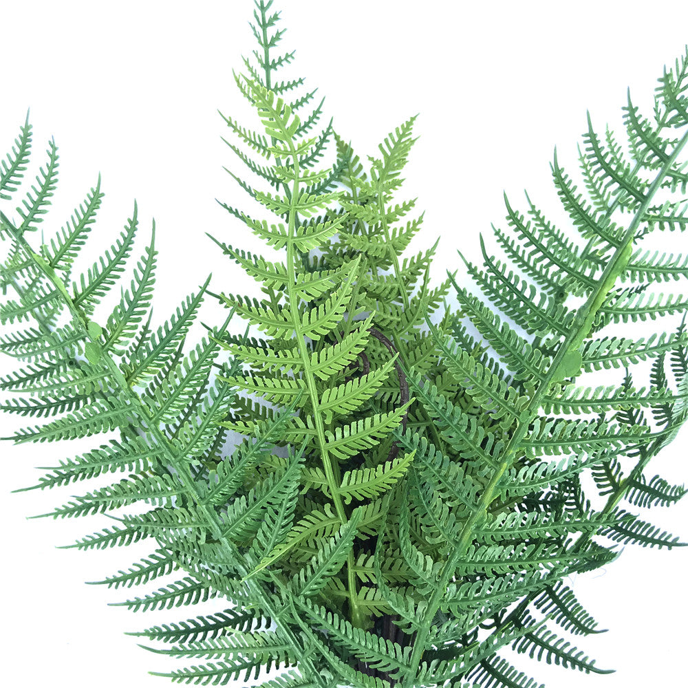 Dark Fern Stem UV Resistant 38cm